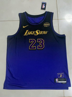 23 Maillot James Los Angeles Lakers 2024-25 City Violet